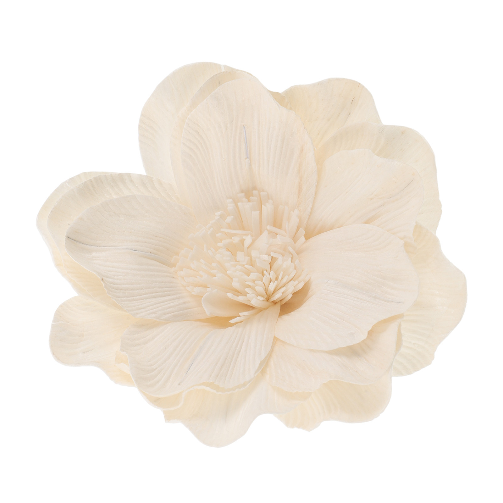 موزع عطر زهرة الزنبق الطبيعي ل - مراجعة Home Fragrance Leather Diffuser وسعره